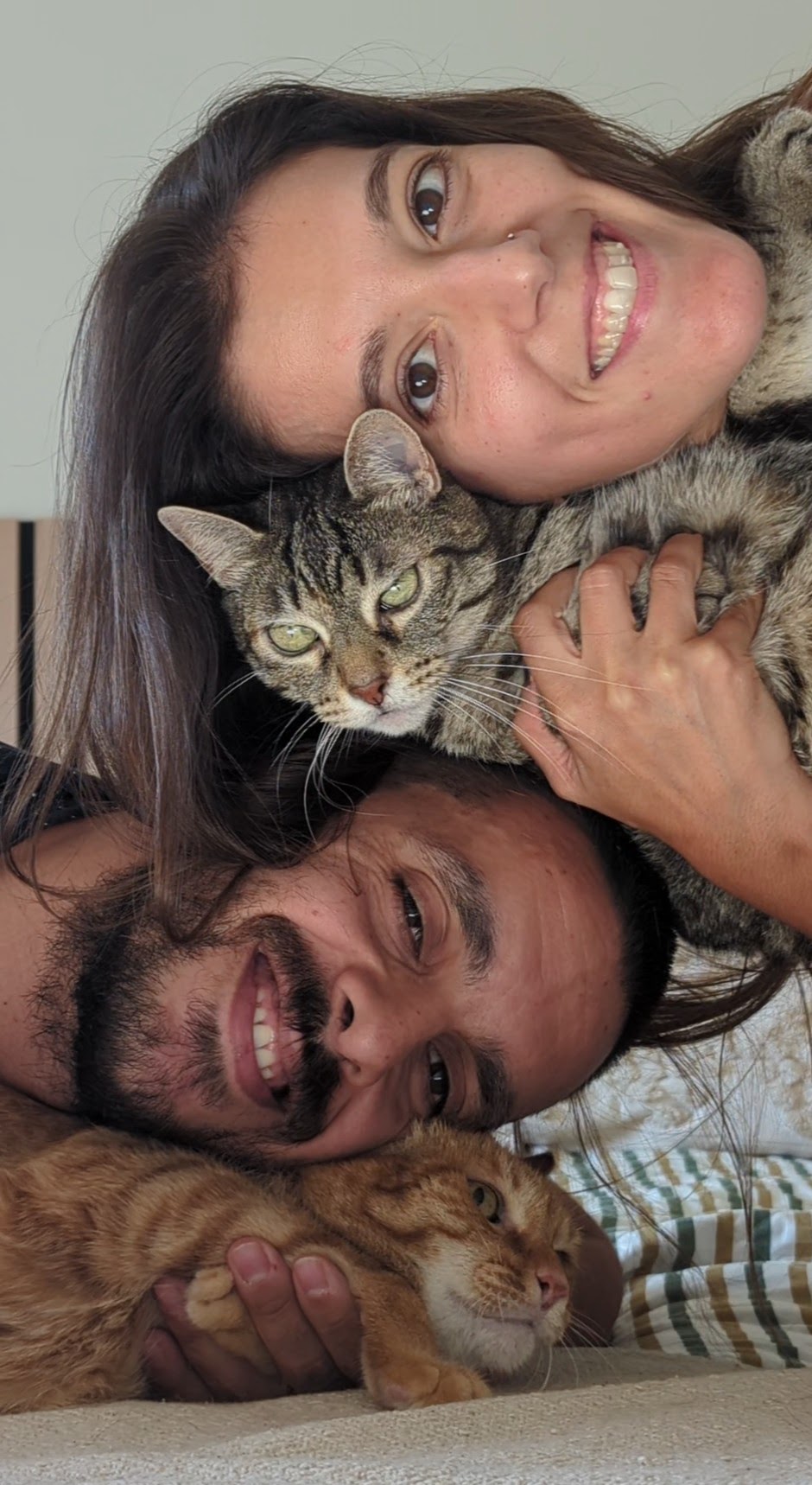 A photo of the couple's beloved cats.